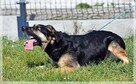 Zara - tyle energii, ile miłości - 3