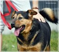 Trampi - pomóż mu odzyskać radość przy Twoim boku - 5
