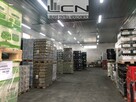WYNAJMĘ HALA MAGAZYN GORZÓW WIELKOPOLSKI - 2