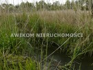 Działka budowlana Sewerynów gm. Nowy Kawęczyn - 12