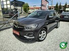Opel Grandland X ALU 18"|czujniki parkow.| Wielosezon| | Nowy Rozrząd | Serwis ASO|HAK - 1