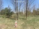Na sprzedaż działka ( 71/4 ) o powierzchni 3988 m2 - 14