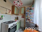 Mieszkanie z 3 niezależnymi pokojami, osobna kuchnia, łazienka, toaleta, balkon