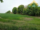 Oferta dla dewelopera działka 4,1 ha, Tychowo - 5