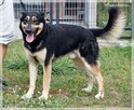 Frodo - pokochaj tego wesołego przystojniaka! - 8