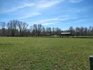 Na sprzedaż 6 dużych działek w Pilchach 150 m od jeziora Roś - 11