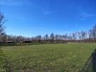 Na sprzedaż 6 dużych działek w Pilchach 150 m od jeziora Roś - 9