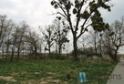 Mieszkanie Siechnice, - 12