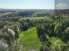 Działka rolno-budowlana Zalasowa gm. Ryglice - 4