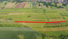 Działka rolna Poręba-Niwki - 11