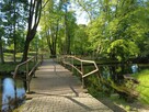 Działka budowlana Ostrowite gm. Dąbrówno - 13