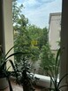 3 pok. z balkonem, kamienica, - 5