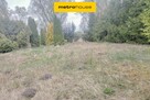 Działka w PIERWSZEJ LINII brzegowej jeziora - 1