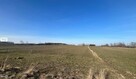 Działka Gnojno Kostera