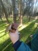 Domek nad jeziorem 8 osobowy - 11