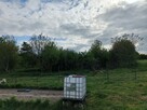 Działka Jakubowice Konińskie Klonowa - 2