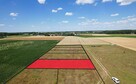 Działka budowlana Bartodzieje gm. Wągrowiec - 3