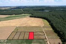 Działka budowlana Bartodzieje gm. Wągrowiec - 4
