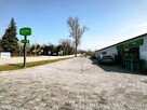 Lokal użytkowy Sędziszów Sędziszów