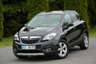 Innovation 4x4 Xenon Led Navi 2xParktronic Skóry Aso Opel Alu17" - 2