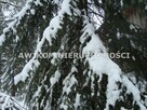 Działka budowlana Słubica B gm. Żabia Wola