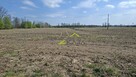 Zamieszkaj blisko natury - działka 1217m2 z WZ - 5