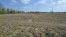 Zamieszkaj blisko natury - działka 1217m2 z WZ - 5