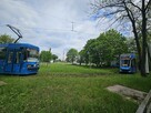 3pok, 49met, ok. Gliwickiej ROZKŁAD/PIWNICA/OGRÓD (Wrocław) - 16