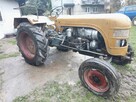 Ciagnik rolniczy R 1959 - 3