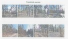 Syndyk sprzeda nieruchomość Dąbrówka-Wyłazy (udział 1/10)