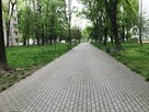 Przytulny apartament na doby, 2 pok., 4 os., widok na zieleń - 12