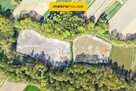 Niepowtarzalna okazja! 2 stawy rybne i las 3,15ha - 1