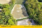 Niepowtarzalna okazja! 2 stawy rybne i las 3,15ha - 4