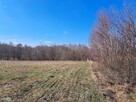 Działka Łagów Sędek - 6
