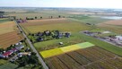 Działka budowlana Tarnowo Podgórne, Brzezno