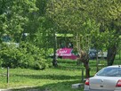 3pok, 49met, ok. Gliwickiej ROZKŁAD/PIWNICA/OGRÓD (Wrocław) - 14