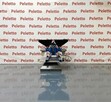 OKAZJA! Peletto Prasa ślimakowa do oleju WT-50 DUO