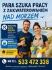 Szukam pracy - 2