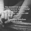 Poznam panią do stałego związku - 4