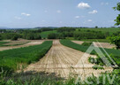 Rolna z potencjałem, rekreacja, 1ha, Kraków 15km - 2