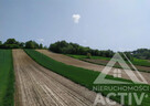 Rolna z potencjałem, rekreacja, 1ha, Kraków 15km - 3