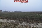 Działka Jędrzejów Potok Mały