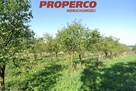 Działka Busko-Zdrój Widuchowa - 4