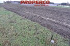 Działka Jędrzejów Borki - 5