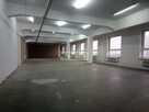 Magazyn,produkcja,parking,dostep24h,ochrona - 13