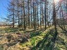 Działka budowlana 5436 m² Łuków Śląski - 1