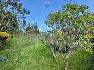 Działka budowlana z ogrodem 800 m² - 8