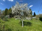 Działka budowlana z ogrodem 800 m² - 10