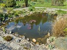 Działka budowlana z ogrodem 800 m² - 14