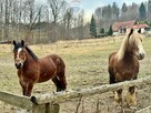 Widokowa działka budowlana w Wiśle 7 arów - 9
